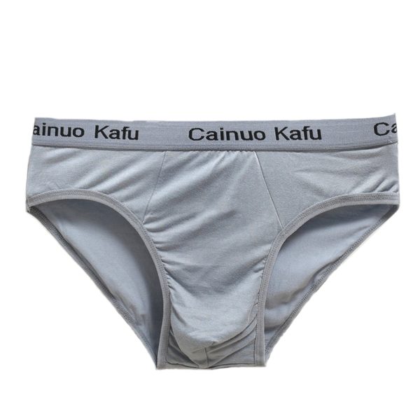 10Pcs Fashion Men s Panties Mens Cotton Underwear Men L 5XL Size Briefsr Bikini Pant Men 2