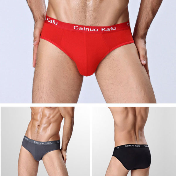 4 Pcs/Lot Men's Panties Man Undrewear Men Underpants Briefs Sexy Underwear For Fat Ultra Thin Boy Comfortable Large Size Mens - Image 2
