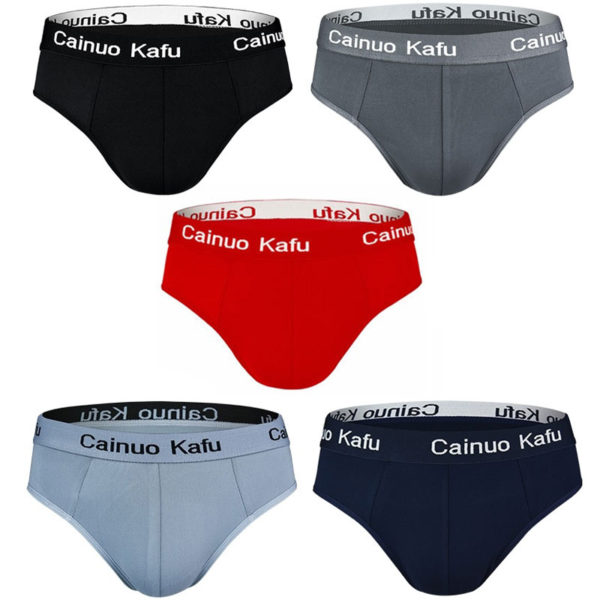 4 Pcs/Lot Men's Panties Man Undrewear Men Underpants Briefs Sexy Underwear For Fat Ultra Thin Boy Comfortable Large Size Mens - Image 5