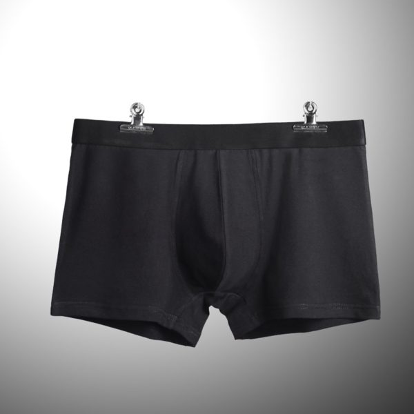 4 pcs Lot Brand Boxers Men Underwear Cotton Shorts Men s Panties Shorts Home Underpants Men 2