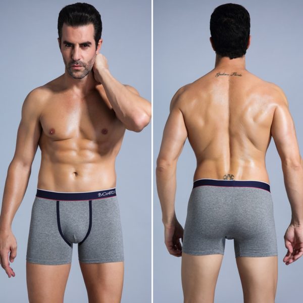 4pcs Boxer Shorts Underpants man Men s Panties Men Boxer Underwear Cotton for Male Couple Sexy 2