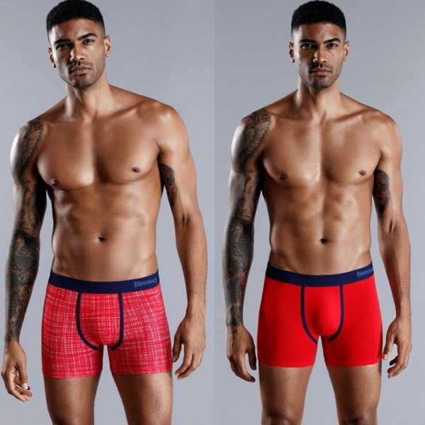 4pcs Set Men Boxer Shorts Soft Boxers for Men's Panties Men’s Underpants Male Cotton Sexy Underwear Boxershorts Family Calecon - Image 3