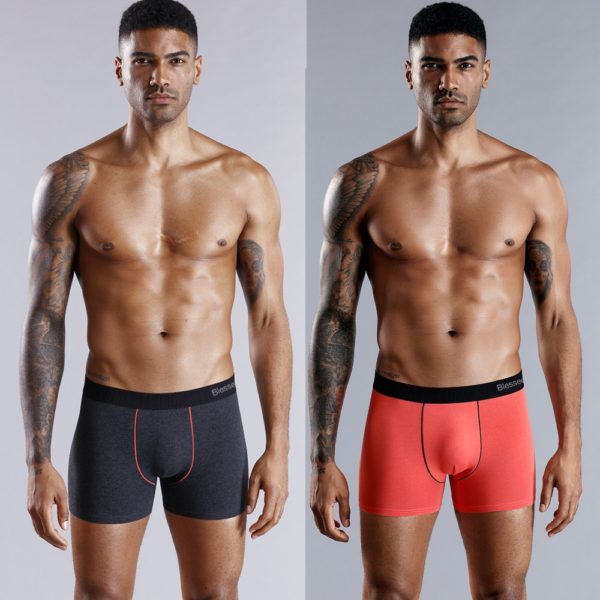 4pcs Set Men Boxer Shorts Soft Boxers for Men's Panties Men’s Underpants Male Cotton Sexy Underwear Boxershorts Family Calecon - Image 4