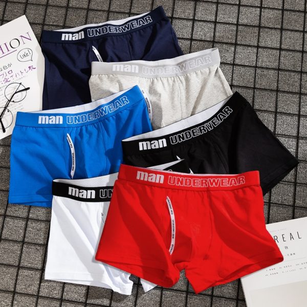 4pcs boxer mens underwear men cotton underpants male pure men panties shorts underwear boxer shorts cotton solid - Image 2