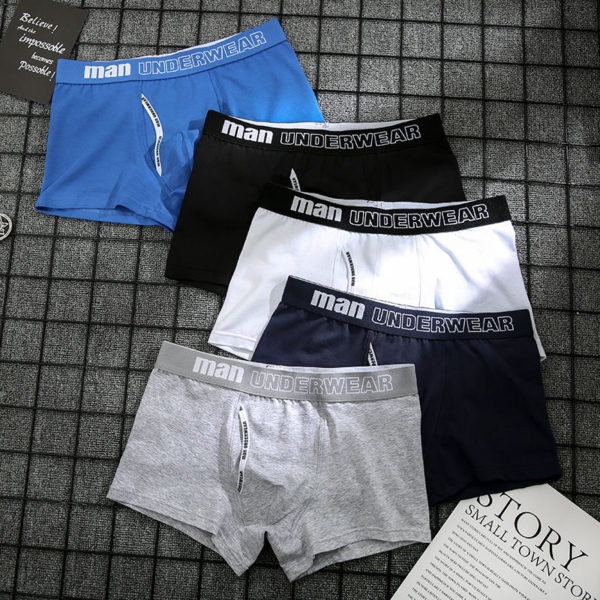 4pcs boxer mens underwear men cotton underpants male pure men panties shorts underwear boxer shorts cotton