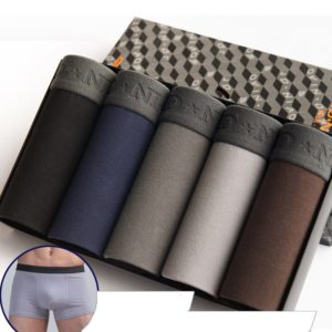 5Pcs/lot Men Underwear Cotton Boxer Men Underpants Comfortable Breathable Men's Panties Underwear Trunk Boxershorts Man Boxer