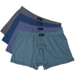 5pcs Casual Daily Boxer Men's Underwear M XL New Sexy Solid Low Waist Sport Soft Comfortable Stretch Breathable Stylish #NK2598G