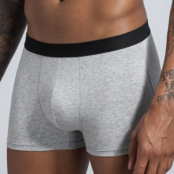 6pcs/Lot Cotton Male Panties Men's Underwear Boxers Breathable Man Boxer Solid Underpants Comfortable Shorts Sexy Lingerie L-5XL - Image 3