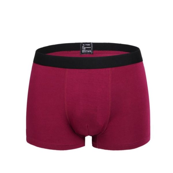6pcs/lot Boxer Men Bamboo Fiber Breathable Underpants Male Panties Hombre Black Underwear Man Elastic Mens Boxershorts Homme - Image 3