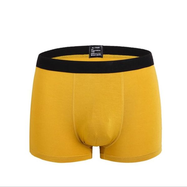 6pcs/lot Boxer Men Bamboo Fiber Breathable Underpants Male Panties Hombre Black Underwear Man Elastic Mens Boxershorts Homme - Image 4