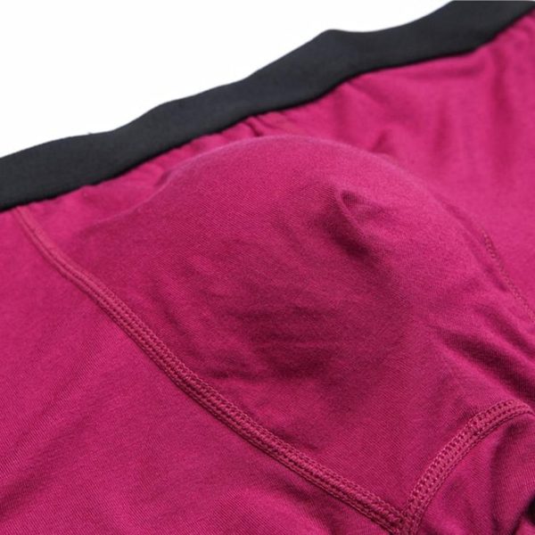 6pcs/lot Boxer Men Bamboo Fiber Breathable Underpants Male Panties Hombre Black Underwear Man Elastic Mens Boxershorts Homme - Image 5