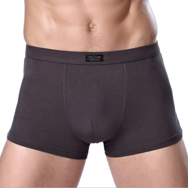 Bamboo Male Panties Sexy Underwear Men Cuecas Boxer New Fashion Boxer Shorts Mens Underware 4pcs/lot Free Shipping - Image 2