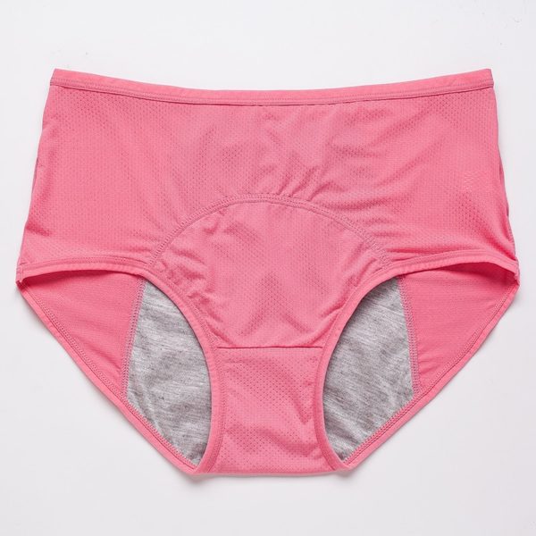 Leak Proof Menstrual Panties Physiological Pants Women Underwear Period Cotton Waterproof Briefs Plus Size Female Lingerie 1