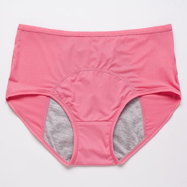 Leak Proof Menstrual Panties Physiological Pants Women Underwear Period Cotton Waterproof Briefs Plus Size Female Lingerie - Image 2