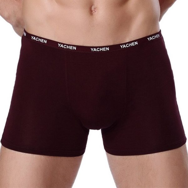 Men Sexy Boxer Soft Breathable Underwear Male Comfortable Solid Panties Underpants Cueca Homme Boxer shorts 1piece - Image 2