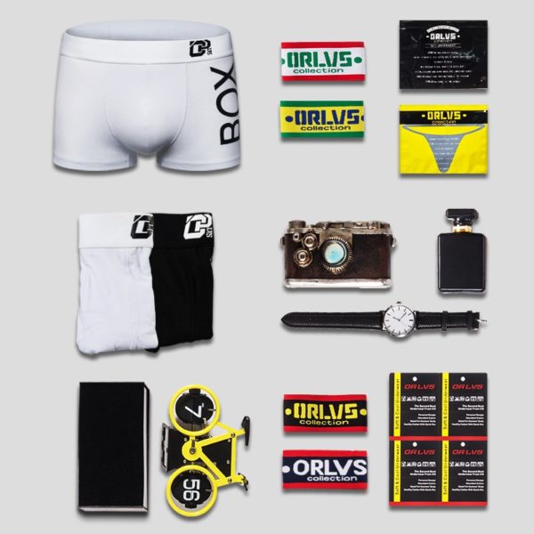 ORLVS Mens Boxer Sexy Underwear soft long boxershorts Cotton soft Underpants Male Panties 3D Pouch Shorts 2