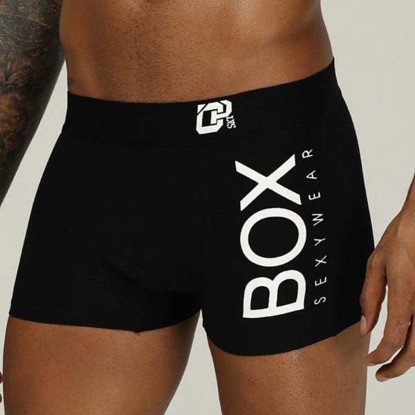 ORLVS Mens Boxer Sexy Underwear soft long boxershorts Cotton soft Underpants Male Panties 3D Pouch Shorts