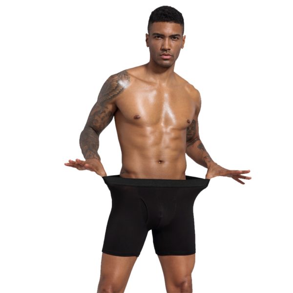 Panties Men Boxers Long Underwear Cotton Man Plus Size Shorts Boxer Breathable Shorts Mens Boxers Underpants Hombres Boxeador - Image 2