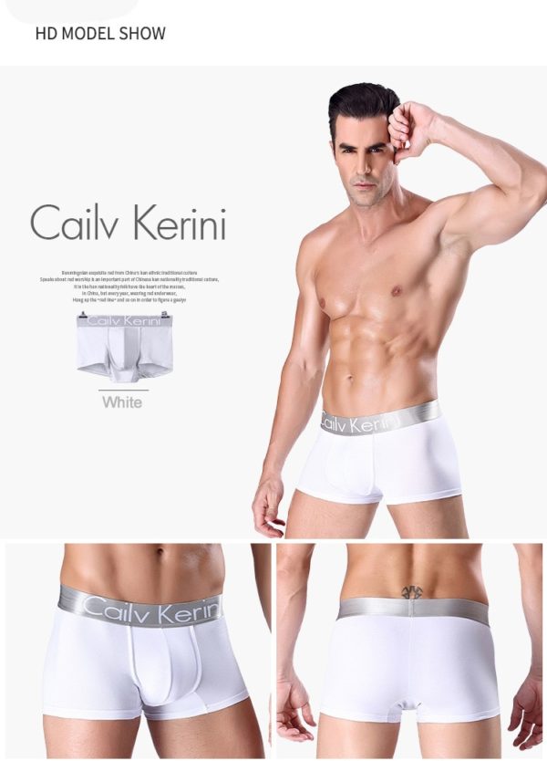 Men's Stretch Cotton Multicolor Boxer Shorts Men's Underwear Breathable Lingerie Men Personality Boxer Tangas - Image 4