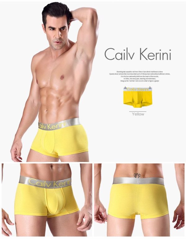 Men's Stretch Cotton Multicolor Boxer Shorts Men's Underwear Breathable Lingerie Men Personality Boxer Tangas - Image 5