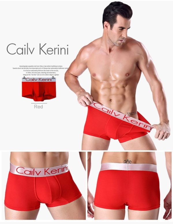 Men's Stretch Cotton Multicolor Boxer Shorts Men's Underwear Breathable Lingerie Men Personality Boxer Tangas - Image 6