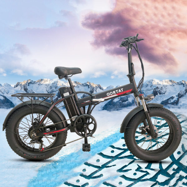 Folding Electric Bike 20 Inch 750W 48V 17Ah Lithium Battery Bicicleta - Image 2