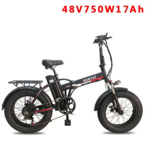 Folding Electric Bike